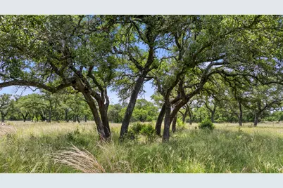 1241 Sandy Oaks Ranch Road, Johnson City, TX 78636 - Photo 31