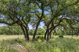 1241 Sandy Oaks Ranch Rd, Johnson City, TX 78636 - Photo 31