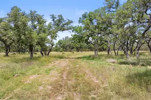 1241 Sandy Oaks Ranch Rd, Johnson City, TX 78636 - Photo 23