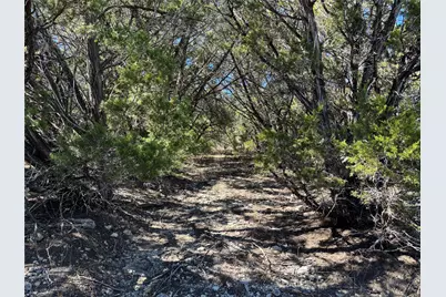 0 Fawn River Drive, Spring Branch, TX 78070 - Photo 3