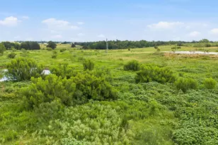1701 Co Rd 466, Elgin, TX 78621 - Photo 19