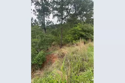 Lots 1612, 1613, 1614 Kaanapali Lane, Bastrop, TX 78602 - Photo 3