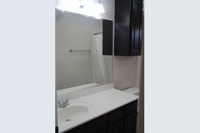 2915 Briona Wood Lane, Cedar Park, TX 78613 - Photo 31
