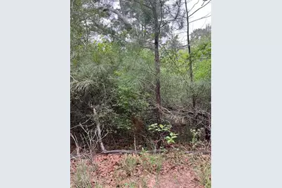 Lot 1603 Ulupau Circle, Bastrop, TX 78602 - Photo 5