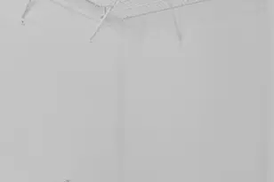 1629 Arbor Knot Dr Dr, Kyle, TX 78640 - Photo 15