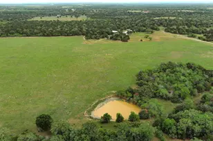 13831 Tx-95 Hwy, Flatonia, TX 78941 - Photo 33