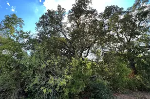 529 Madison St, Elgin, TX 78621 - Photo 5