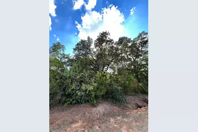 529 Madison Street, Elgin, TX 78621 - Photo 5
