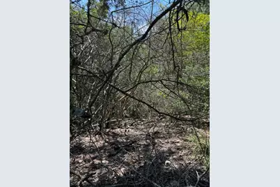 157 Lamaloa Lane, Bastrop, TX 78602 - Photo 3