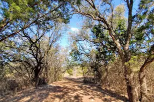 1412 White Daisy Ln, Georgetown, TX 78628 - Photo 19