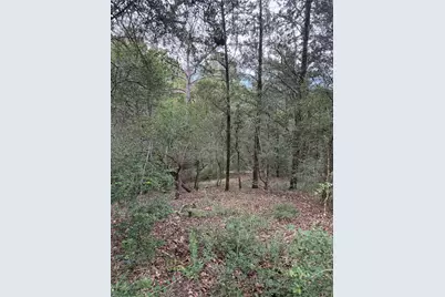 Lot 294 Aka Court, Bastrop, TX 78602 - Photo 3