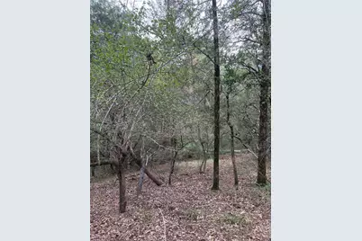 Lot 294 Aka Court, Bastrop, TX 78602 - Photo 5