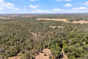 196 Willy Rd, Bastrop, TX 78602 - Photo 31