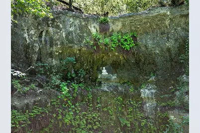 1 Shadybrook Cove, Austin, TX 78746 - Photo 15