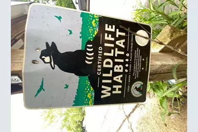 948 Sycamore Street, San Marcos, TX 78666 - Photo 7