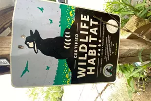 948 Sycamore St, San Marcos, TX 78666 - Photo 7