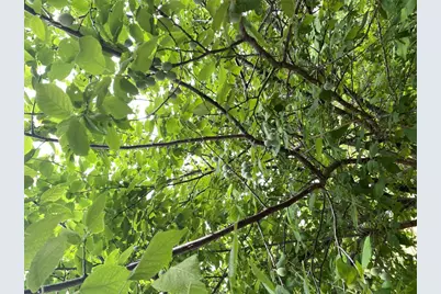 948 Sycamore Street, San Marcos, TX 78666 - Photo 11