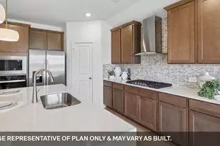 14716 Flying Aster Ln, Manor, TX 78653 - Photo 13