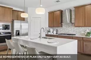 14716 Flying Aster Ln, Manor, TX 78653 - Photo 11
