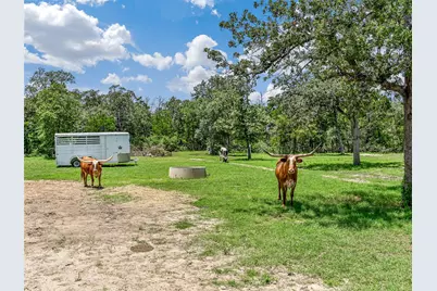 226 Stolle Lane, Flatonia, TX 78941 - Photo 31