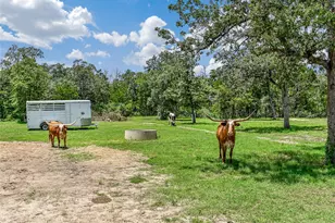 226 Stolle Ln, Flatonia, TX 78941 - Photo 31