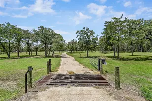 226 Stolle Ln, Flatonia, TX 78941 - Photo 39