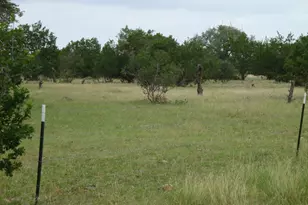 1619 Althaus Ranch Rd, Johnson City, TX 78636 - Photo 37