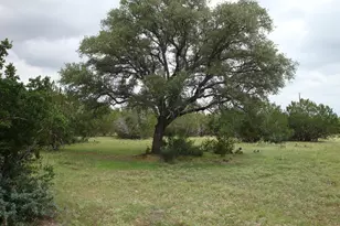 1619 Althaus Ranch Rd, Johnson City, TX 78636 - Photo 27