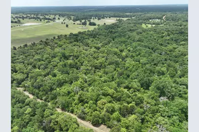 555 Private Road 3428, Milano, TX 76558 - Photo 5