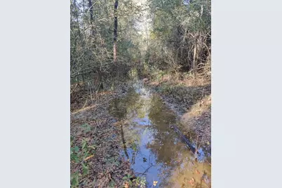 555 Private Road 3428, Milano, TX 76558 - Photo 3