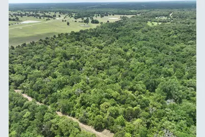 555 Private Road 3428, Milano, TX 76558 - Photo 5