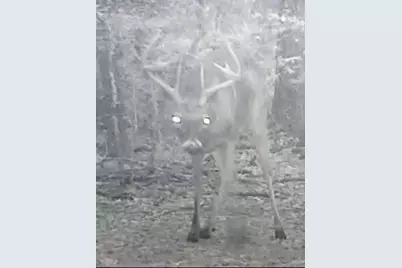 555 Private Road 3428, Milano, TX 76558 - Photo 11