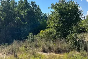 Tbd Poi Ct, Bastrop, TX 78602 - Photo 1