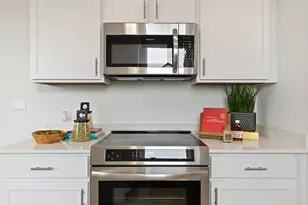 2507 Violet Theo Ln, Round Rock, TX 78665 - Photo 13