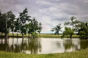 1351 Co Rd 320, Granger, TX 76530 - Photo 1