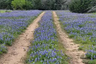 9939 Co Rd 404, Spicewood, TX 78669 - Photo 15