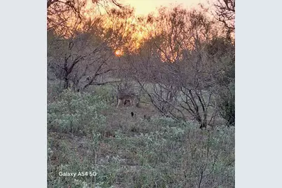 326 The Forest Road, Dale, TX 78616 - Photo 27