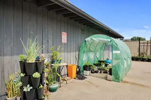 909 Reinli St, Austin, TX 78751 - Photo 29