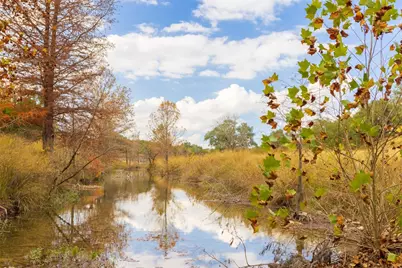 7301 Creek Road, Dripping Springs, TX 78620 - Photo 3