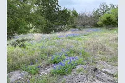 1365 Pedernales Hills Road, Johnson City, TX 78636 - Photo 9