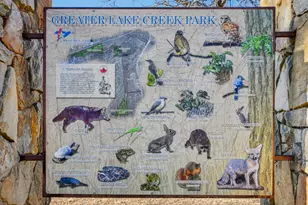 616 Lookout Tree Ln, Round Rock, TX 78664 - Photo 33