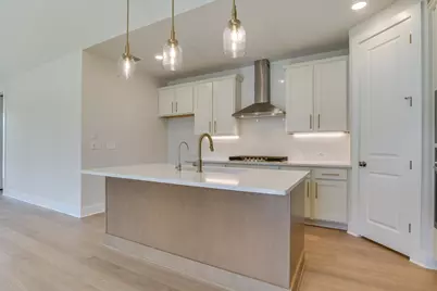 315 Fountain Grass Drive, San Marcos, TX 78666 - Photo 5