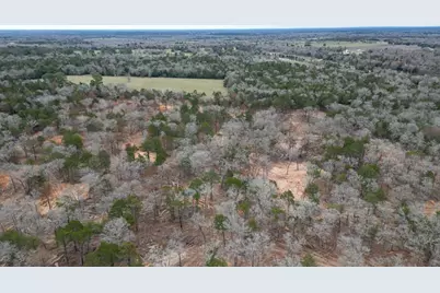 1559 Fm 535, Smithville, TX 78957 - Photo 7
