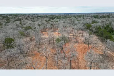 1559 Fm 535, Smithville, TX 78957 - Photo 9