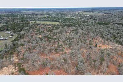 1559 Fm 535, Smithville, TX 78957 - Photo 5