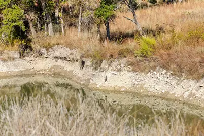 41 Moon Beam Court, Blanco, TX 78606 - Photo 19