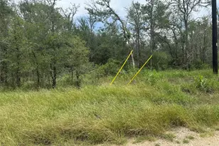 189 Puu Waa Waa Ln, Bastrop, TX 78602 - Photo 1