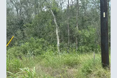 189 Puu Waa Waa Lane, Bastrop, TX 78602 - Photo 3