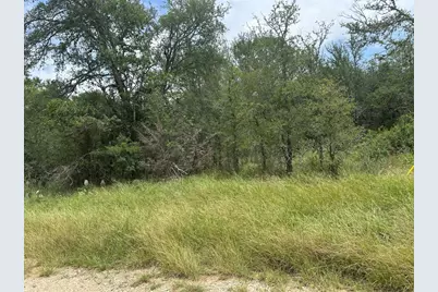 189 Puu Waa Waa Lane, Bastrop, TX 78602 - Photo 5