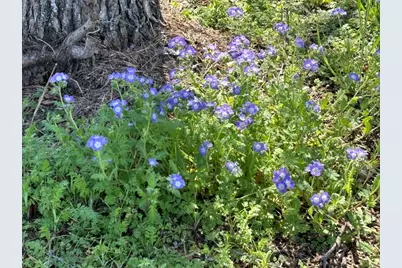 104 Oleander Drive, Buchanan Dam, TX 78609 - Photo 3